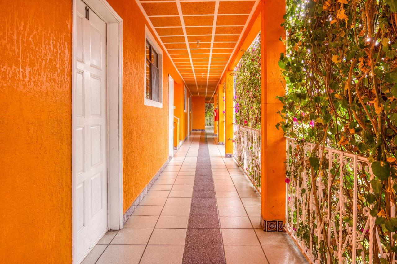 Hotel Posada Bugambilias Сан-Луїс-Потосі Екстер'єр фото